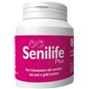 INNOVET ITALIA SENILIFE PLUS 60CPS