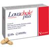 NALKEIN ITALIA Srl Lovachole Plus | Integratore Colesterolo Berberina Riso Rosso | 30 Compresse