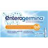 OPELLA HEALTHCARE ITALY Srl Enterogermina 4 Miliardi | Farmaco Fermenti Lattici Bacillus Clausii | 10 Flaconcini 5ml