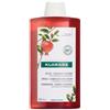 KLORANE (Pierre Fabre It. SpA) Klorane Shampoo Melograno Capelli Colorati 400ml