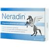 PHARMASGP GmbH Neradin | Integratore Uomo Zinco Selenio Ginseng | 28 Capsule