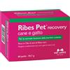 NBF Lanes Vet Ribes Pet Recovery | Integratore Dermatite Atopica Allergie Cani Gatti | 60 Perle