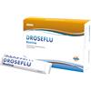 PRINCEPS Srl DROSEFLU 10BUST 15ML