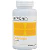 Syform Cordyceps 100caps