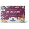 Valverbe Tisana bio vie urinarie - Integratore per il drenaggio e le vie urinarie, 20 filtri