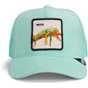 Goorin Bros. IguanaBros - Berretto da baseball in tessuto terry cloth, da donna/uomo, snapback, con visiera, estate/inverno, primavera, estate, autunno, inverno, Menta, Taglia unica