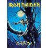 Heart Rock - Bandiera Iron Maiden Fear of The Dark, Qualità Italiana, Materiali resistenti e Colori Vivaci - Made in italy [100% Poliestere - 110x75 cm]