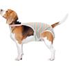 CAPASTEC Pannolini per Cani Femmina Riutilizzabili per Calore Rosa 1 Pz | Materiale: Cotone. Schiena 36cm, Vita 34-54cm. Bretelle Regolabili. Adatto Per Teddy, Corgi, Chihuahua, Pinscher.