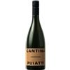 CANTINA PUIATTI Chardonnay doc