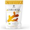 ERBOTECH Curcuma BIO in Polvere 100 g