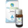 Erboristeria Magentina Canfora Olio Ess 10ml