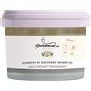 Dolcincasa.com Dolcincasa-Sciroppo di Zucchero Invertito per Dolci e Gelati - Prodotto Professionale 500g