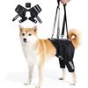 BT Bear Pettorina di sollevamento per cani di taglia grande, supporto per la displasia dell'anca, imbracatura di supporto per animali domestici per zampe posteriori per cani di taglia grande, XL