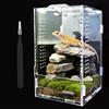 ZHITENG 360°Terrario per Rettili Acrilico, 20x12x12cm Terrarium Acrilico Pinzette, Termometro, Trasparente Fauna Box, Custodia Traspirante per L'allevamento di Rettili per Scorpioni, Millepiedi(B)