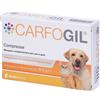 Carfogil Compresse 30 pz
