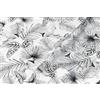 d-c-fix pellicola per finestra Botanicals 67,5 cm x 1,5 m pellicola statica oscurante con motivo moderno per superfici in vetro - aderente, opaca, decorativa