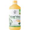 FPI Fitopreparatori Italiani Aloe Vera Master Active Succo