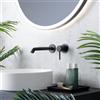 Fortis Brera rubinetto lavabo a parete, SET incluso corpo incasso,, 7820804MB, Brera nero opaco [Rubinetteria Bagno > Rubinetteria Lavabo]