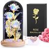BOLEi Rosa Regalo Per Donne, Rosa Eterna In Vetro, Regalos Per Mamma, regali Di San Valentino Per Lei, Regalo- Di Natale Per Donne, regalis Per Sorelle, Mamma, Nonna(3 Rose Galaxy Colorate)