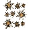 Heimatflüstern Spilla Stella Alpina, 3 Confezioni da Un Set di 3 Pezzi (3 Misure), Pin per Donne e Uomini, spillone per l`Oktoberfest (Colori Bicolore)