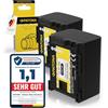 PATONA 2X BP-808 Batteria 890mAh - Ricambio per Canon BP-808, BP-807, BP-809, BP-819, BP-827 - per Canon HG-20, HG-21, HF11, HF100, FS-100, Legria HF-M306, HF-M36, HF-M406 - una gira, una si ricarica
