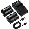 DSTE NP-FM50 Batteria (2 pezzi) e Caricatore Compatibile con Sony CCD-TRV128 CCD-TRV138 CCD-TRV208 CCD-TRV218 CCD-TRV228