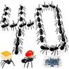 BITEFU 40 forchette da frutta, stuzzicadenti a formiche, colore nero | Spiedini decorativi per snack, frutta, cibo, cocktail, feste