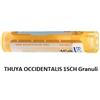 Boiron THUYA OCC 15CH GR 4G