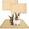 bangminda 2 Pezzi Tappeto per Roditori 60x40 cm Tappetini in Sisal per Conigli Tappetino Antigraffio Tiragraffi per Conigli Rivestimento per Pavimenti a Gabbia per Criceti Porcellini d'India
