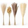 Relaxdays Erba Pampas Decorativa, Set da 144 Rami Naturali, L: 41 cm, Mazzo di Fiori Secchi per Decorazioni Boho Chic