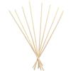 HP ITALIA Srl Nasoterapia Bastoncini in Fibra Ecrù 28 cm | Ricambio per Diffusore di Essenze 200ml | 8 Pezzi