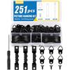 Caianwin Kit da 251 pezzi, ganci da parete per appendere quadri, set di ganci per quadri con denti a sega, anello a D, viti, strumenti per appendere cornici, dipinti, specchi (nero)