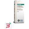 FORZA VITALE ITALIA SRL ECOSOL CARBONE COMPOSTO 60 COMPRESSE