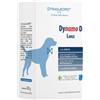 DYNAMOPET Srl DYNAMO D LARGE 20 Bust.