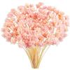 Larber 100 Pezzi Fiori Secchi Brasiliani Fiori Mini Fiori Secchi Fiori Naturali Gypsophila Casa Piccola Stella Decorativi Brasiliani Disposizione Floreale Fiore Bouquet Confezione Regalo (Rosa)