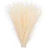 PATIKIL 21.7in Decorazione di Erba di Pampas, 30pz Erba di Pampas Artificiale alla Rinfusa Morbida Finta Erba di Pampas Piccola Essiccata, Beige
