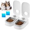 PORFOYO Mangiatoia automatica per 2 pasti, mangiatoia automatica per gatti con timer 48 ore, mangiatoia automatica per gatti, cani, alimentatore automatico per animali domestici, pacchetto di ghiaccio incluso