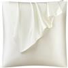 DISANGNI Federa per cuscino in 100% seta di gelso naturale, per capelli e pelle, con cerniera nascosta, 22 momme su entrambi i lati, federa in vera seta (1 pezzo, 40 x 40 cm, bianco)