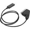 GOWENIC Cavo da HDMI a Scart, Cavo Convertitore Audio Video, Convertitore HD da HDMI a Scart con Interfaccia Multimediale HD