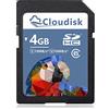 Cloudisk Scheda di memoria SD Carten UHS Flash da 4 GB, classe 4 (4 GB SD Memory Card)