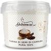 Dolcincasa.com Dolcincasa Farina di Semi di Carruba 100% per Gelato e Pasticceria, 250 g