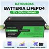 DATOUBOSS Batteria a Ciclo Profondo Datouboss 12V 300Ah LiFePO4 con BMS Integrato, Alte Prestazioni per Solare, Inverter, HESS, 3840Wh