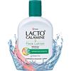 Lacto Calamine Lozione idratante per l'equilibrio della pelle (120ml)