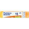 BOIRON Phytolacca de boi*15ch gr 4g - BOIRON - 045879145