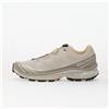 Salomon Sneakers Salomon XT-6 Rainy Day/ Paloma/ Ftw Silver