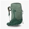 Osprey Zaino Osprey Stratos 36 Pine Leaf Green