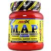 AMIX M.A.P. AMINO POWDER 300 GRAMMI