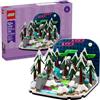 LEGO 40785 Diorama Aurora Boreale