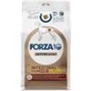 SANYPET FORZA 10 INTESTINAL COLON FASE 2 AGNELLO E SORGO 10 KG