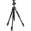 Vanguard Alta Pro 263AB 100 - Treppiede in alluminio con testa a sfera con colonna sfalsata